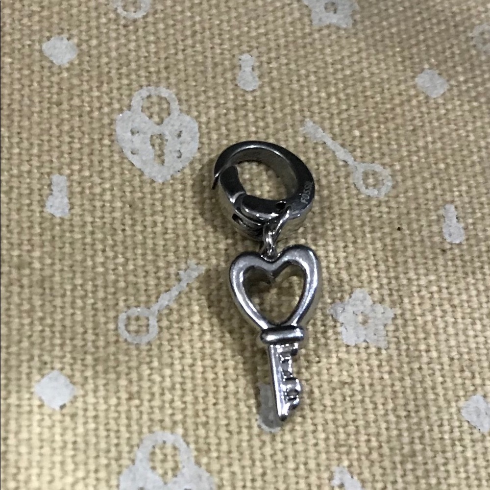 Fossil Heart Key Charm